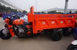 Adult 250cc Cargo Tricycle