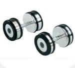 China Professional Casting Dumbbells Manufacturer