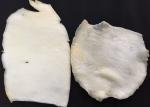 Seasoned Dried Squid Fillets White Color Little Additives Good Moisture
