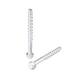 SUS410/SUS410 SUS304/10B21/1022 Screw Material Anchor Bolt for Secure Safety