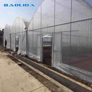 Quality Garden Commercial Multi Span Greenhouse For Vegetable Stable Performance wholesale