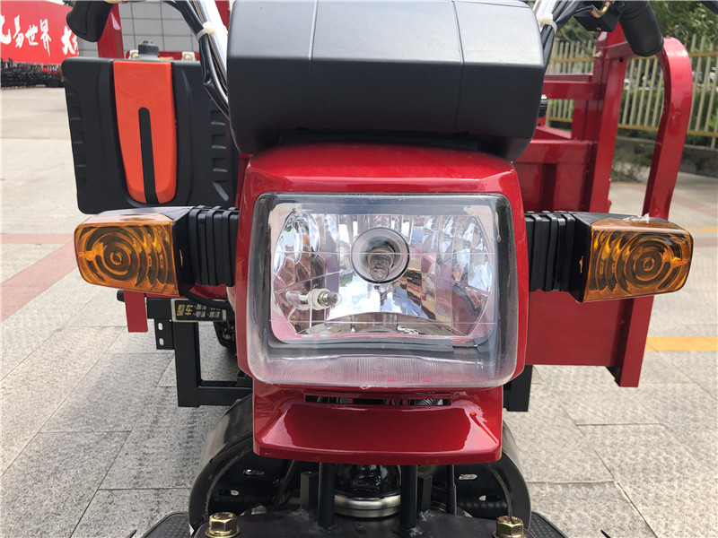 High Stability 250cc Cargo Tricycle with 3 Wheels and Rear Axle Floating Booster King