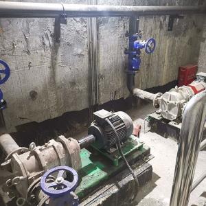 Quality Durable Antiwear Primary Sludge Lobe Pump , Pressure Resistant PD Pump Types wholesale