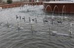 Program Control Water Dancing Outdoor Water Fountain