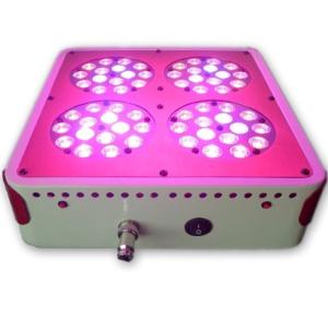 Quality Apollo 4 180W LED Grow Plant Light Full Spectrum Flower Plant Grow Lamp wholesale