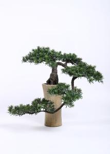 Quality H125cm Bonsai Pine Tree Curved Branch Stunning Wonderfully Crafted Without Pot wholesale