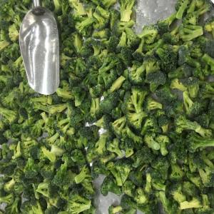 Quality Premium IQF Frozen Vegetables / Green Broccoli Safe And Healthy Food wholesale