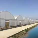 Plastic Film Vegetables Growing Agricultural 200 Micron PE Film Multispan