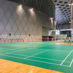 Wear-Resistance PVC Sports Flooring Acoustic Table Tennis Floor In Roll