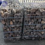 Durable Gabion Wall Fence Anti Rust Welded Hot Dipped Galvanized Gabion Cage For