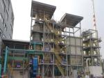 Burning Rate 99.9% Hydraulic Feeding Biological Hazardous Waste Incinerator