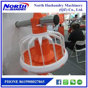 Quality Low Price Automatic poultry Broiler Chicken Feed Line Drink Line wholesale