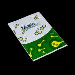 Custom Size Small Large White Kraft Paper Bags for Takeaway Delivery Gravure