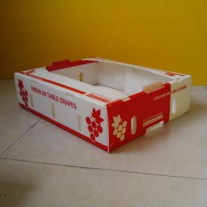 Quality Polypropylene 5mm Corrugated Boxes For Fruit Packaging Waterproof wholesale