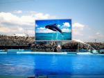 120° View Angle Outdoor LED Screen Module Fixed P4.7 Advertising Big TV Video
