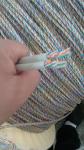 Dual cable Cat6 UTP/FTP 0.56 BC LSZH/PVC