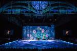 Live Show Gauze Fabric 3D Holographic Video Projection