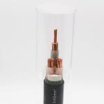Low Voltage 0.6/1KV Flame Retardant XLPE Insulation Cable for Industrial