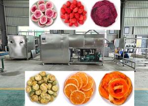 Quality OEM / ODM Food Vacuum Freeze Dryer Experience Unmatched Freeze Drying Performance wholesale