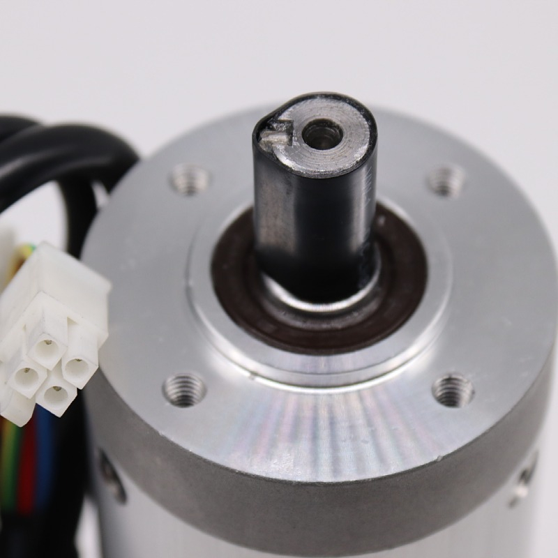EBS59R IE2 High Power 24V DC Servo Motor With Gearbox