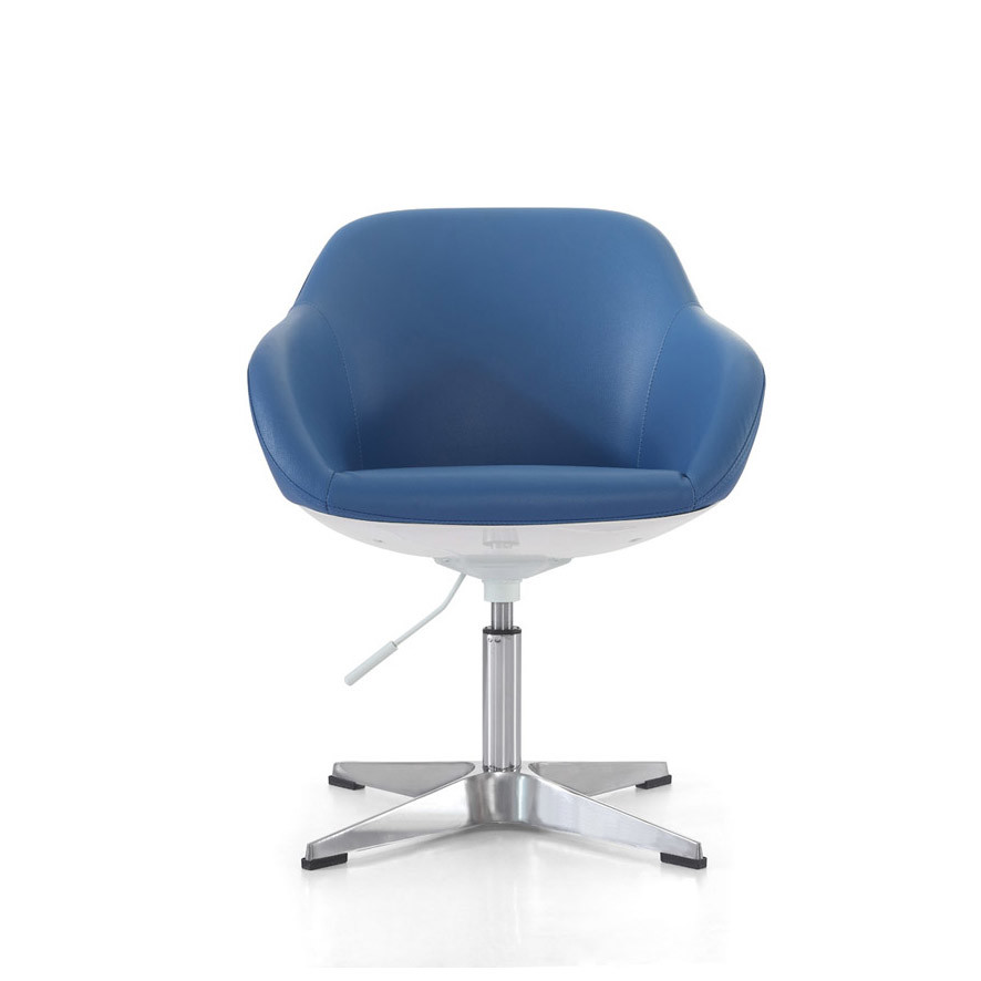 classical modern Shared Workspace Furniture. loungechair