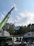 Zoomlion ZTC1300V863
