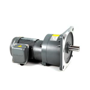 Quality 50Hz AC Gear Motor wholesale