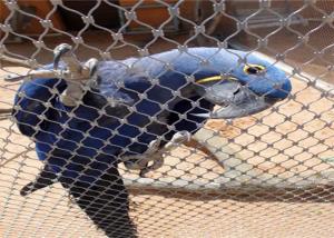Quality Customizable AISI 316 304 Stainless Steel Aviary Mesh For Bird Habitats wholesale