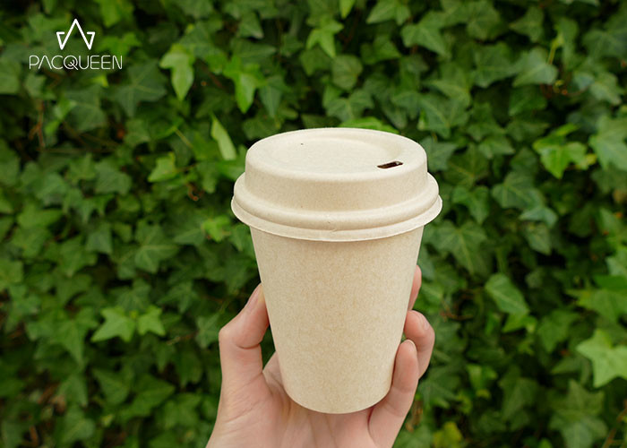 Takeaway Compostable Paper Cups Sustainable Natural Bagasse Material Custom Sizes
