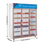 Stainless Steel Beverage Display Cooler 210L Capacity Restaurant Cooling