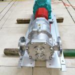 Pumping Tank Bottom Oil Lobe Pumps With ATEX Explosion - Proof Motors