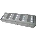Industrial Non Maintained SMD LED Bulkhead Emergency Light 50Hz / 60Hz
