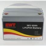 36v 42Ah Lithium Ion Battery 2000cycles Light Weight Lifepo4 36v 42ah Battery