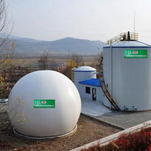 Quality Chicken Manure CSTR Tank Livestock Continuous Stirred Tank Reactor wholesale