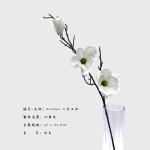 Multiple Color Artificial Yulan Magnolia Faux Flower Branches 95 Cm Size