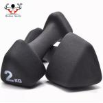 Triangle End Fitness Equipment Dumbbells Neoprene Material Comfortable