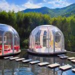 Fashion Clear Bubble Tents