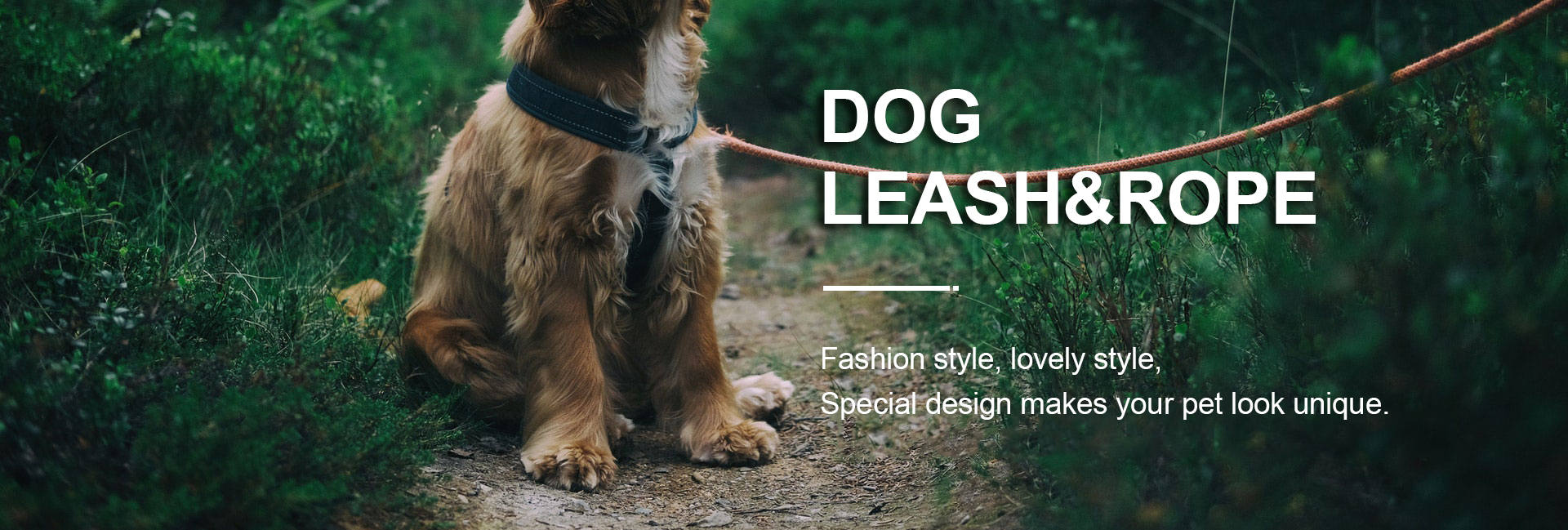 Plastic Material Auto Dog Leash Pet Accessory Retractable Dog Lead
