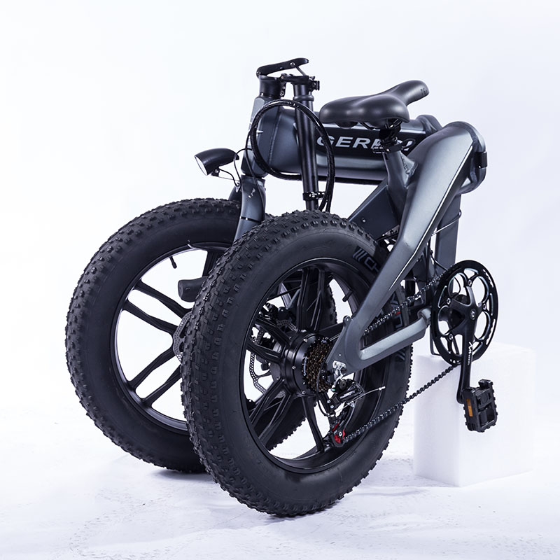 Two Wheel Mini Electric Fat Bike Big Tyres Rechargeable 36v Battery