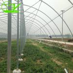 Large Height 3-10m Polytunnel Greenhouse The Ideal Growing Environment for Your