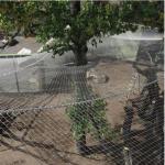 90 Degree Ferruled Mesh Fencing For Animal Enclosures