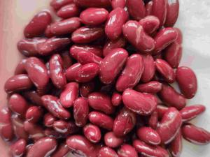 Quality BRC 400g Salty Canned Red Kidney Beans In Water wholesale
