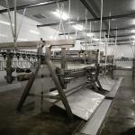 Stainless Steel Slaughter Processing Line 500bph 10000bph Chicken Abattoir