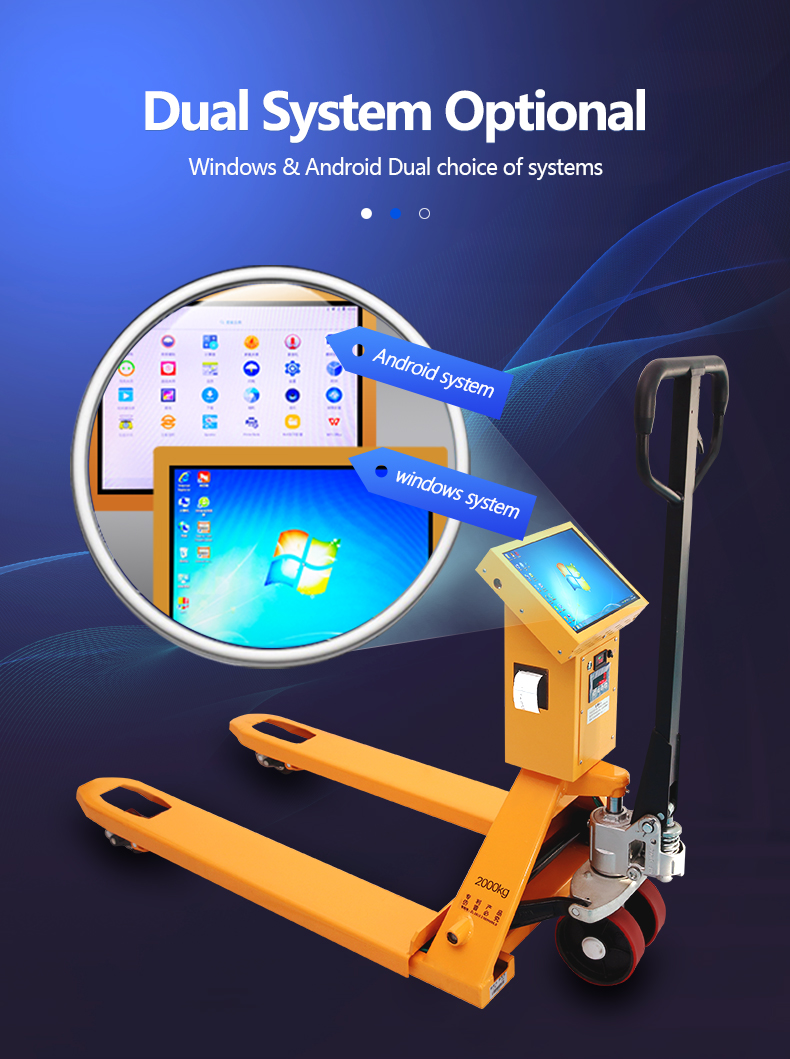 Carbon Steel Tray Scale Entry and Exit System for Streamlined Warehouse Operations