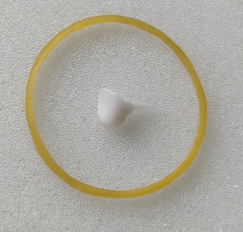 Reinforcing EMAX Porcelain Dental Pin Core