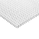 Composite co extrusion Coating 100% Virgin Polycarbonate Twin Wall Hollow