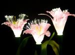 LED Fiber Optic Lily Lights Wedding Decorative Lights Park Scenic Spots