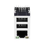 LPJE302BGNL Dual USB RJ45 Jack Yellow/Green LED Tab Up