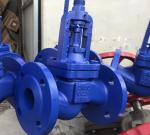 DIN bellows globe valve PN16 body GG25