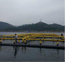 Quality Diameter 10-40m Floating Cage Fish Farming DN250-DN400 wholesale
